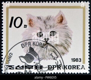 Rpd di Corea - circa 1983: un timbro stampato in Corea del Nord mostra gatto persiano, circa 1983 Foto Stock