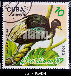 CUBA - circa 1989: un timbro stampato in Cuba mostra di uccelli esotici, psophia leucoptera, circa 1989 Foto Stock