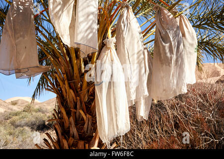 Data la coltivazione con la Cina Ranch Data Farm, Tecopa, CALIFORNIA, STATI UNITI D'AMERICA Foto Stock