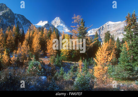 Il Monte Assiniboine Parco Provinciale in autunno, British Columbia, Canada Foto Stock