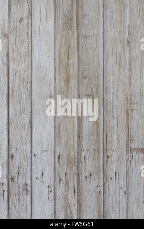 Vecchio weathered porta in legno con legno verticale. Foto Stock
