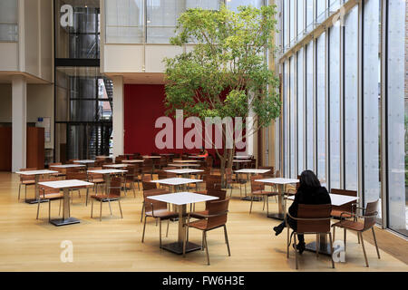 Vista interna della Morgan Library & Museum. Manhattan, New York City, Stati Uniti d'America Foto Stock