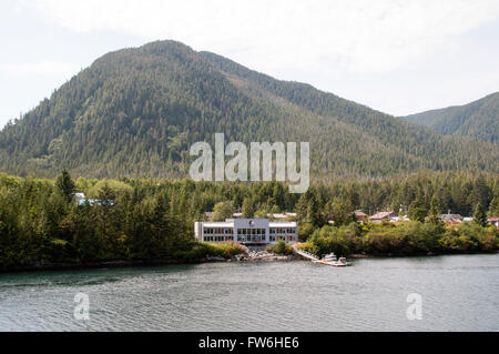 Spirito Bear Lodge, nel villaggio di Klemtu, grande orso nella foresta pluviale, British Columbia, Canada. Foto Stock