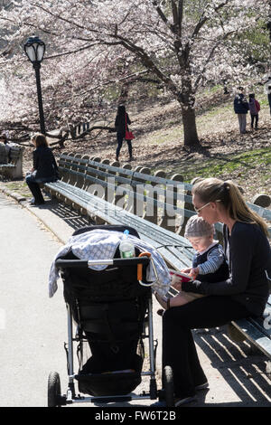 Madre Libro di lettura al suo bambino, al Central Park di New York, Stati Uniti d'America Foto Stock