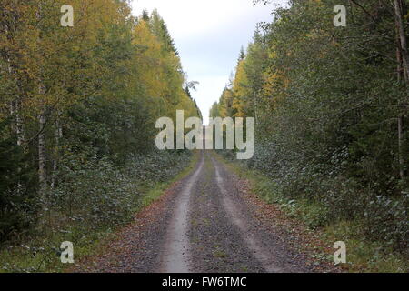 Una lunga e stony road all'orizzonte. Foto Stock