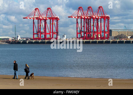 Dog walkers godendo la soleggiata spiaggia di New Brighton, Wallasey, Regno Unito con la gru di Seaforth dock dietro. Foto Stock