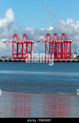 Riflessi di acciaio cinese importati gru Dock al contenitore porta di Seaforth, Merseyside, Regno Unito Foto Stock