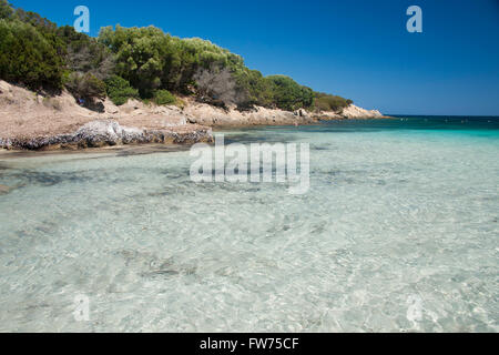 I meravigliosi colori del mare a cala Granu, una baia vicino a Porto Cervo in Costa Smeralda Foto Stock