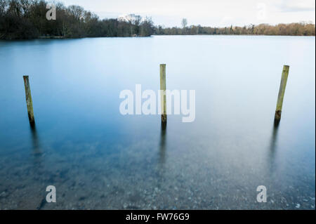 Londra, Regno Unito. Il 20 marzo 2016. Tre poli riflessa nel lago di un pomeriggio di primavera a Rickmansworth Aquadrome. Foto Stock