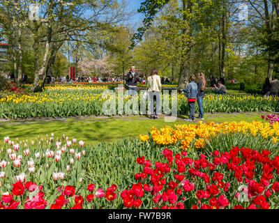 Turisti e letti di tulipani di fioritura in primavera in giardini Keukenhof in Lisse, Olanda, South Holland, Paesi Bassi Foto Stock