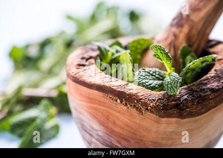 Di menta romana fresca cantato in stile rustico in legno mortaio sul tavolo di legno Foto Stock