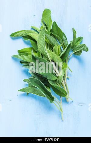 Foglie di salvia fresca cantato sul dipinto di blu pastello tavolo in legno, piatta da sopra Foto Stock