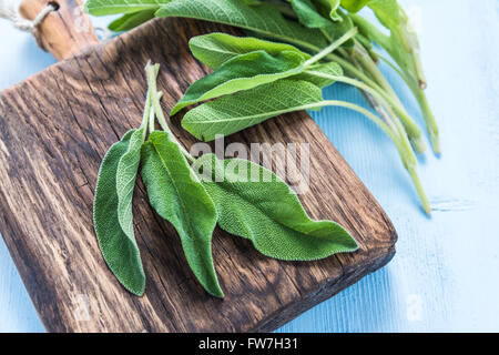 Foglie di salvia fresca cantato sul dipinto di blu pastello tavolo in legno, piatta da sopra Foto Stock