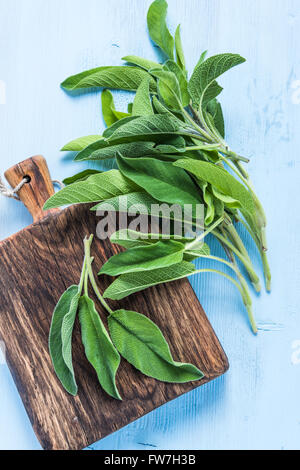 Foglie di salvia fresca cantato sul dipinto di blu pastello tavolo in legno, piatta da sopra Foto Stock
