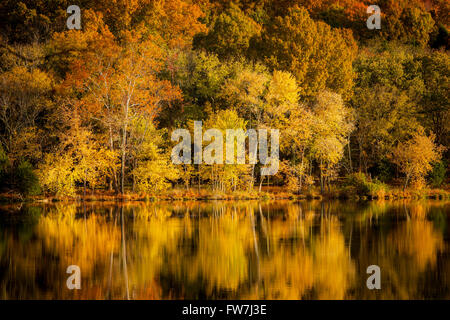 Colore di autunno a Radnor Lake, Nashville Tennessee, USA Foto Stock