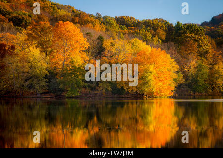 Colore di autunno a Radnor Lake, Nashville Tennessee, USA Foto Stock