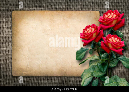 Carta per un invito o un complimento con rose rosse in stile vintage Foto Stock