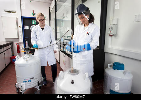 Gli scienziati riempimento azoto liquido. Foto Stock