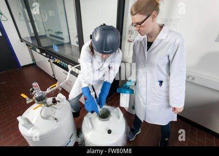 Azoto liquido, laboratorio chimico Foto stock - Alamy