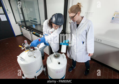 Gli scienziati riempimento azoto liquido. Foto Stock