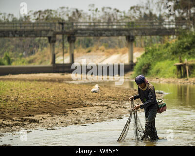 Wang Nuea, Lampang, Thailandia. 1 apr, 2016. Un uomo pesci nel fondo del Mae Wang Wang (fiume) in Wang Nuea. Il fiume dovrebbe essere Waist Deep in questo momento di qui ma è poco profonda della caviglia. L'uomo ha detto che non aveva mai visto il fiume così basso. È così bassa che l'acqua non può fluire oltre il cancello di irrigazione in background. Il Mae Wang confluisce nel fiume Chao Phraya e a Bangkok e fornisce domestico e acqua di irrigazione per gran parte del nord della Thailandia. La stagione delle piogge non è previsto per inizio per almeno altri due mesi. © Jack Kurtz/ZUMA filo/Alamy Live News Foto Stock