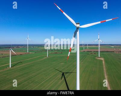 Jacobsdorf, Germania. 1 Aprile, 2016. Una vista su un parco eolico vicino Jacobsdorf, Germania, 01 aprile 2016. Secondo le informazioni fornite dal tedesco Wind Energy Association (BWE), all'interno del Land di Brandeburgo prende il secondo posto con la più grande capacità installata da impianti a energia eolica. Quasi un terzo del fabbisogno di energia sono soddisfatte dalla potenza del vento. Brandeburgo è seconda a bassa Sassonia come il più importante di energia eolica sito in Germania, con 5,456 MW di potenza installata la capacità generale. Foto: Patrick Pleul/dpa/Alamy Live News Foto Stock