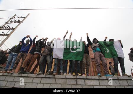 Srinagar, India. 1 Aprile, 2016. Musulmani del Kashmir manifestanti visualizza il Pakistan bandiere durante una manifestazione di protesta nella vecchia Srinagar. Pro libertà scontri scoppiati in Srinagar's downtown subito dopo il Venerdì congregazione preghiere si è conclusa, la polizia poi licenziato strappare fumogeni e granate stun per disperdere i manifestanti arrabbiati. © Faisal Khan/Pacific Press/Alamy Live News Foto Stock