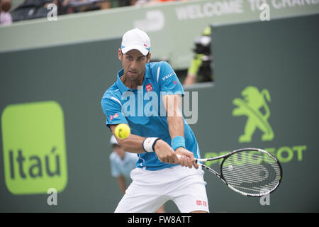 Key Biscayne, FL, Stati Uniti d'America. 1 apr, 2016. Key Biscayne, FL - 01 aprile: Novak Djokovic(SRB) in azione sconfigge David Goffin(BEL) 76(5) 64 durante questo Semi Finali al 2016 Miami aperto in Key Biscayne, FL. Credito: Andrea, Patrono/filo di Zuma Credito: Andrea, Patrono/ZUMA filo/Alamy Live News Foto Stock