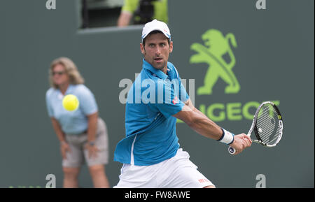 Key Biscayne, FL, Stati Uniti d'America. 1 apr, 2016. Key Biscayne, FL - 01 aprile: Novak Djokovic(SRB) in azione contro David Goffin(BEL) durante questo Semi Finali al 2016 Miami aperto in Key Biscayne, FL. Credito: Andrea, Patrono/filo di Zuma Credito: Andrea, Patrono/ZUMA filo/Alamy Live News Foto Stock