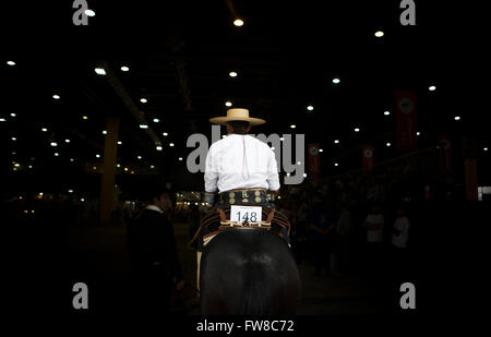 Buenos Aires, Argentina. 1 apr, 2016. Un pilota entra in pista per prendere parte al dodicesimo 'i nostri cavalli' Expo, sui motivi dell'argentino della società rurale, a Buenos Aires, Argentina, il 1 aprile 2016. © Martin Zabala/Xinhua/Alamy Live News Foto Stock