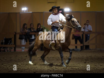 Buenos Aires, Argentina. 1 apr, 2016. Un ciclista esegue la manovra di 'Rein' durante il dodicesimo 'i nostri cavalli' Expo, sui motivi dell'argentino della società rurale, a Buenos Aires, Argentina, il 1 aprile 2016. © Martin Zabala/Xinhua/Alamy Live News Foto Stock