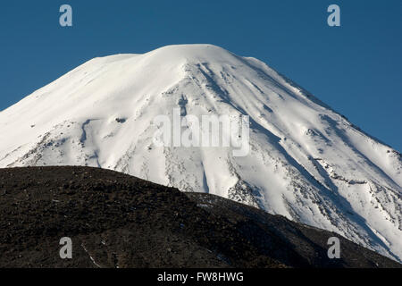 Imponente Ngauruhoe stratovulcano è il più giovane dei vulcani attivi nel Parco Nazionale di Tongariro in Nuova Zelanda. Foto Stock