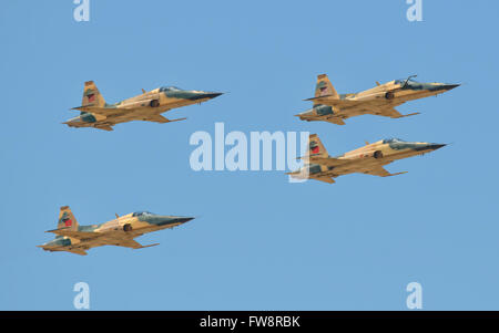 Marocchina Royal Air Force F-5 aerei che volano a Marrakech Air Show in Marocco. Foto Stock