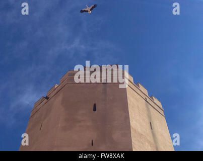 Espantaperros torre con battenti cicogna. Questa torre è il più eccezionale del Albarran torri della cittadella araba di Badajoz Foto Stock