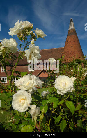 Oast house. Goudhurst. Kent. In Inghilterra. Regno Unito. Europa Foto Stock