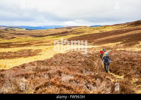 Gli amanti della mountain bike sulla brughiera in Cairngorms National Park a est di Blair Atholl, Perthshire Scozia, circumnavigando Beinn un'Ghlo Foto Stock