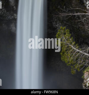 Cascata in una foresta, Brandywine cade, Brandywine cade Parco Provinciale, Whistler, British Columbia, Canada Foto Stock