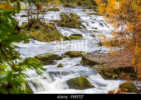 Swallow Falls si trova sul Afon Llugwy vicino a Betws-y-Coed, Conwy, Wales, Regno Unito, Europa. Foto Stock