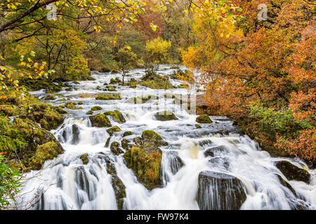 Swallow Falls si trova sul Afon Llugwy vicino a Betws-y-Coed, Conwy, Wales, Regno Unito, Europa. Foto Stock