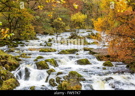 Swallow Falls si trova sul Afon Llugwy vicino a Betws-y-Coed, Conwy, Wales, Regno Unito, Europa. Foto Stock