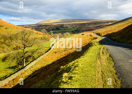 Strada in Barbondale Cumbria. Con effetto a partire dal mese di agosto 2016 questa zona diventa parte dello Yorkshire Dales National Park. Foto Stock