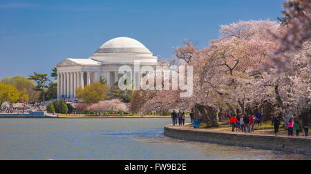 WASHINGTON, DC, Stati Uniti d'America - Thomas Jefferson Memorial e ciliegi in fiore all Tidal Basin. Foto Stock