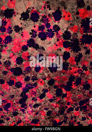 Abstract moderno graphic design arte digitale concept creativo Foto Stock