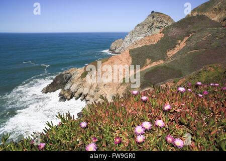 Devil's slitta rocce a strapiombo, costiere promontorio. San Mateo County, California, Stati Uniti d'America. Foto Stock