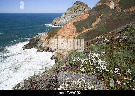 Devil's slitta rocce a strapiombo, costiere promontorio. San Mateo County, California, Stati Uniti d'America. Foto Stock