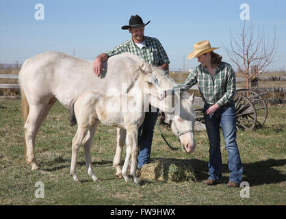 felice coppia cowboy occidentale fuori con cavallo bianco e nemico Foto Stock