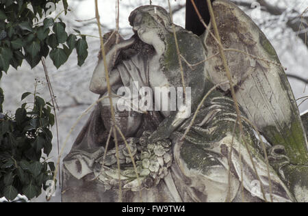 AUT, Austria, Vienna, presso il cimitero centrale. AUT, Oesterreich, Wien, auf dem Zentralfriedhof. Foto Stock