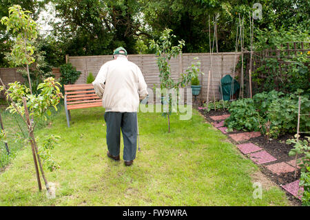 Vista posteriore di un anziano uomo che cammina nel suo giardino Foto Stock