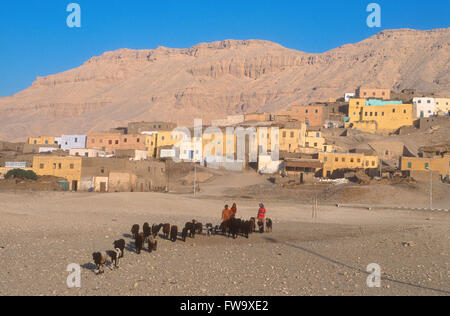 Pastori con un gregge di pecore al di fuori di un villaggio nei pressi di Luxor, Egitto Foto Stock