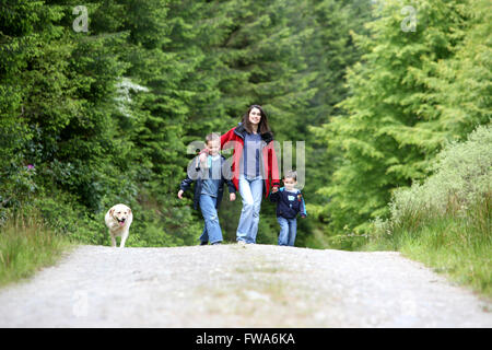 Famiglia cani a piedi nella foresta Foto Stock